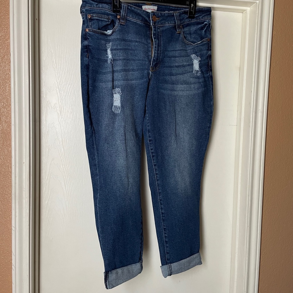 Dia & Co stretchy Molly & Isadora girlfriend jeans size 16W (fits like an 18!)